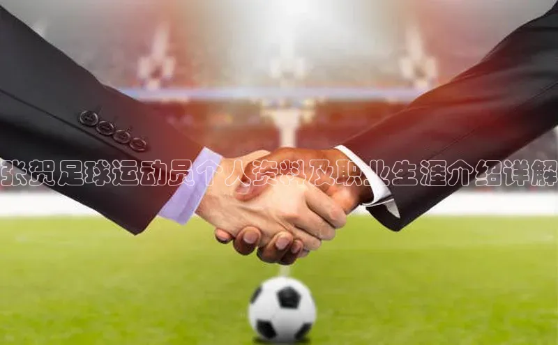 门徒拉菲9注册链接度小满理财张贺足球运动员个人资料及职业生涯介绍详解