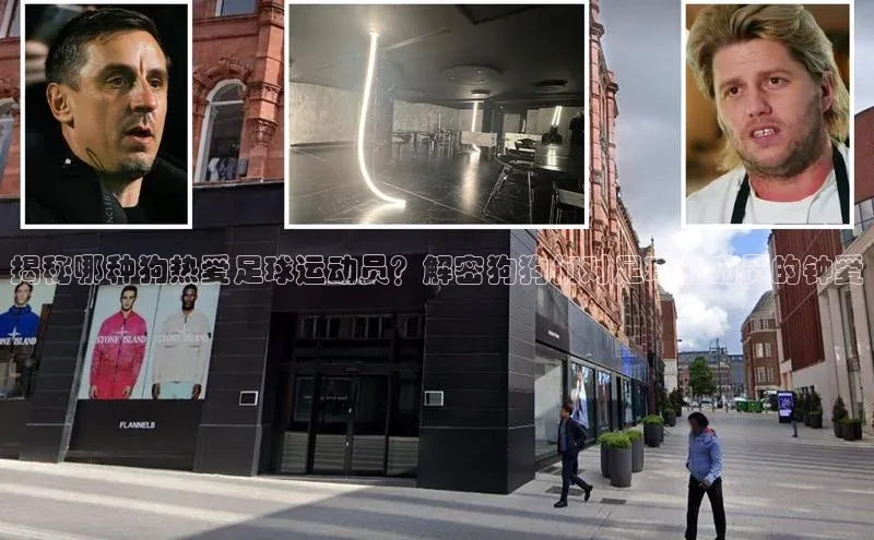 门徒登录入口挪威主权基金揭秘哪种狗热爱足球运动员？解密狗狗们对足球运动员的钟爱