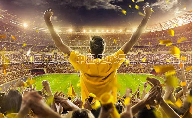 门徒平台注册登录ARGA公司探索中国足球：中国足球是什么球类运动