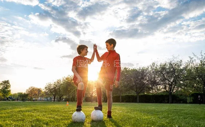 门徒平台登录地址百度技术学院中甲足球运动员翟亮：职业生涯、荣誉和个人成就全方位解析