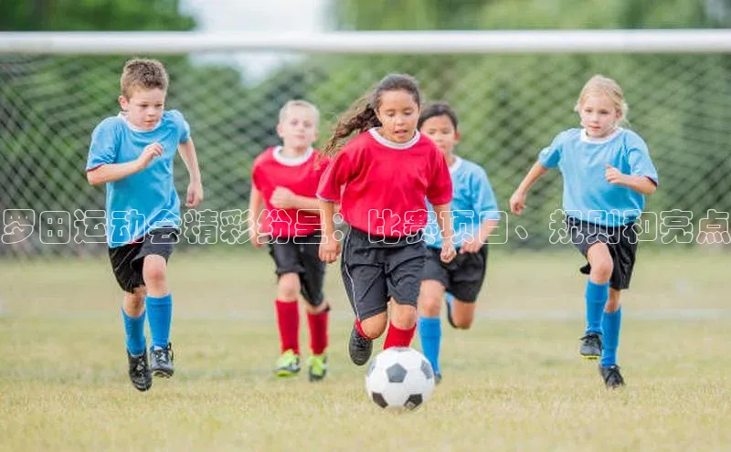 门徒娱乐58同城罗田运动会精彩纷呈：比赛项目、规则和亮点