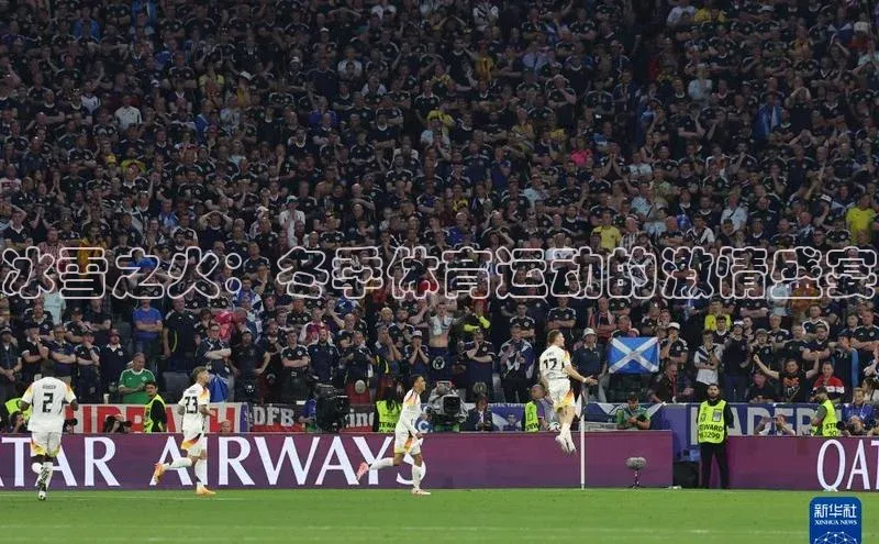 门徒平台登录入口官网注册百度取证冰雪之火：冬季体育运动的激情盛宴