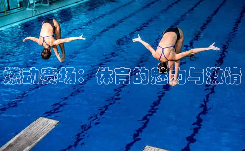 燃动赛场：体育的魅力与激情