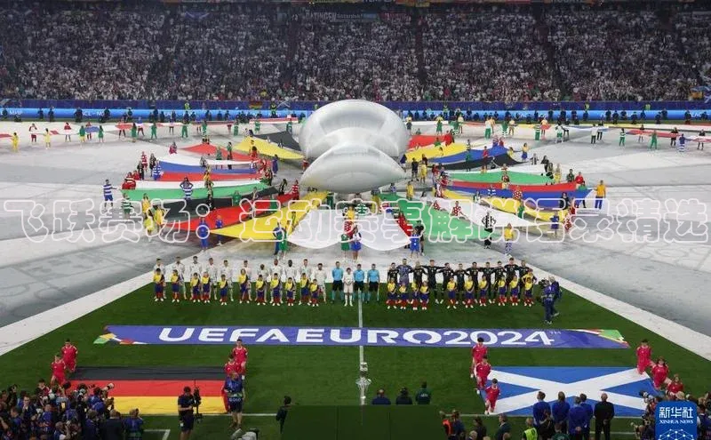 飞跃赛场：运动赛事解说语录精选