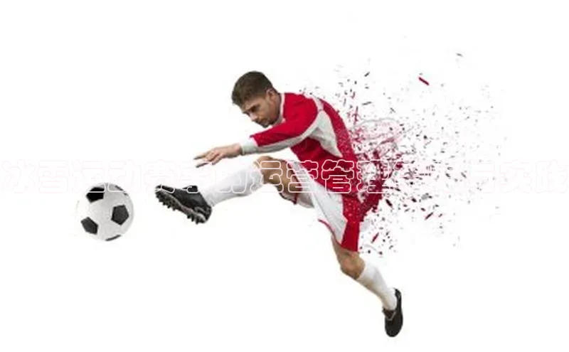 冰雪运动赛事的运营管理策略与实践