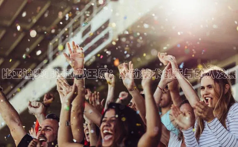 比亚迪赛事运动部王磊：推动技术创新与团队发展