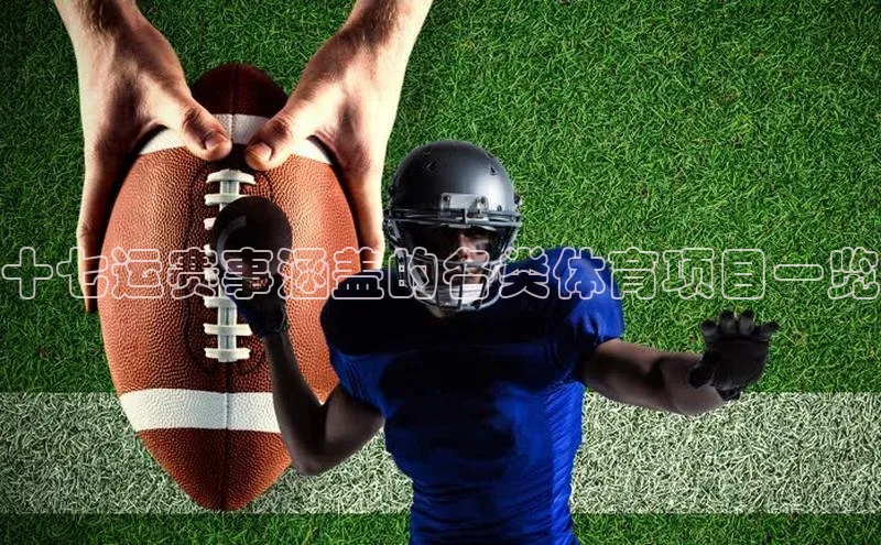 十七运赛事涵盖的各类体育项目一览