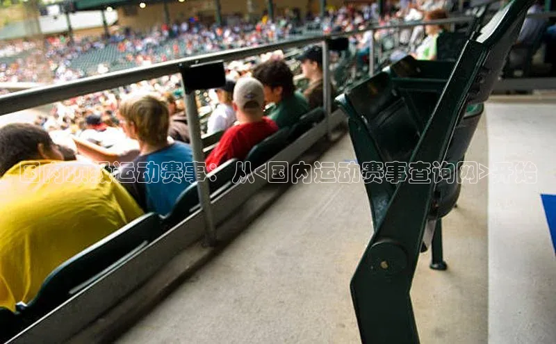 国内顶级运动赛事：从<国内运动赛事查询网>开始