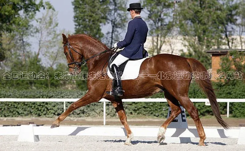 全国运动会：未来健康生活的新平台——北京运动赛事报名网站
