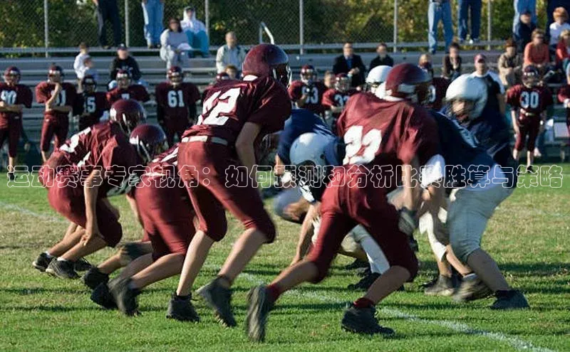 运动赛事专家视角：如何预测和分析比赛胜算与策略