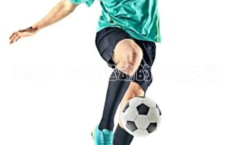 赛魂：一场运动的灵魂之歌