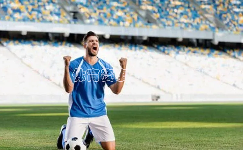 飞跃赛场：体育赛事背后的故事与精神