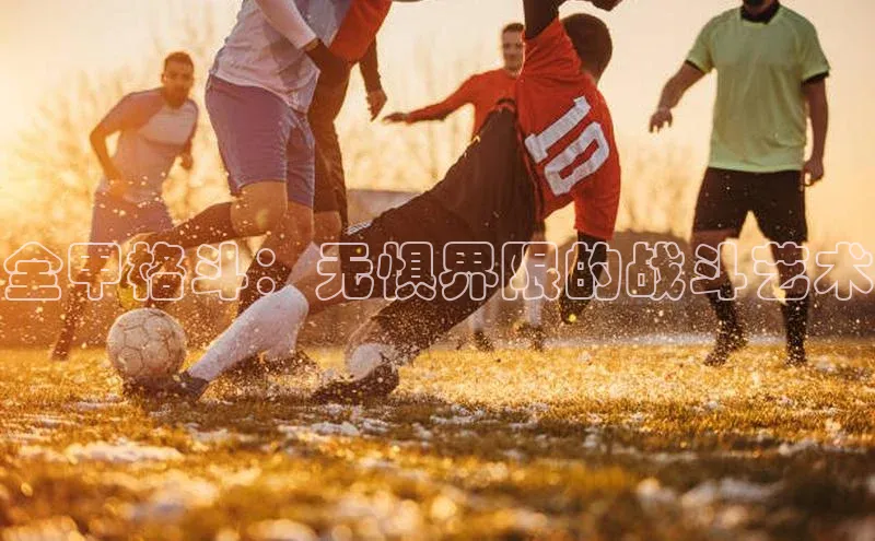 全甲格斗：无惧界限的战斗艺术