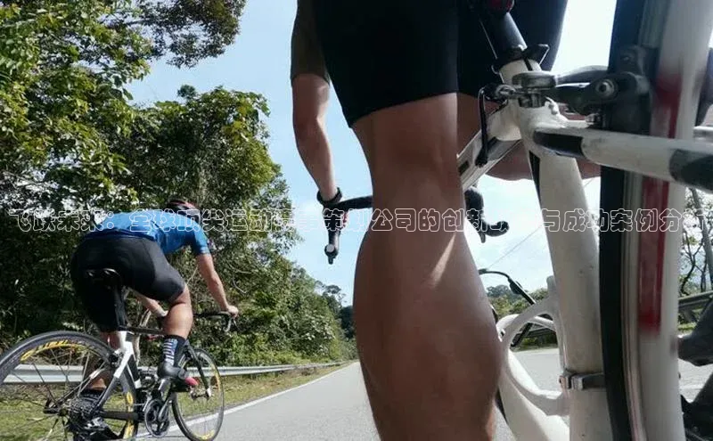 飞跃未来：全球顶尖运动赛事策划公司的创新战略与成功案例分析