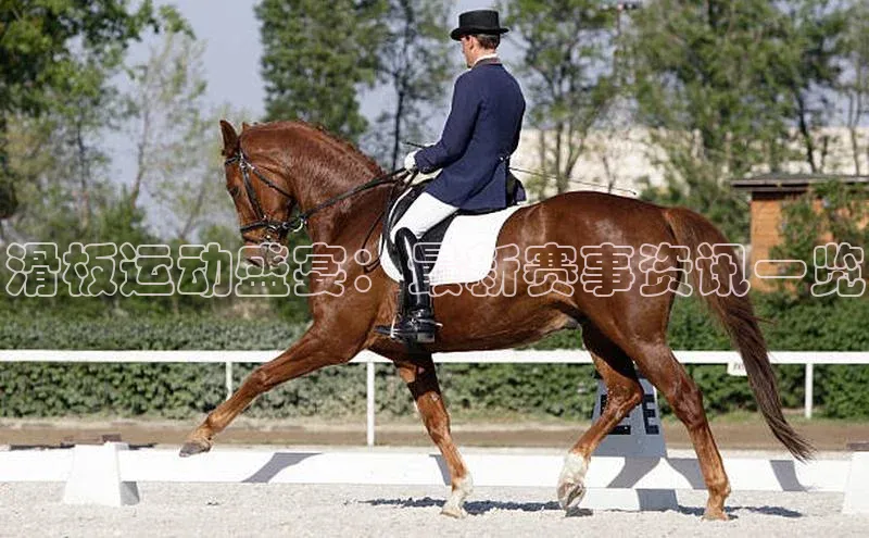 滑板运动盛宴：最新赛事资讯一览